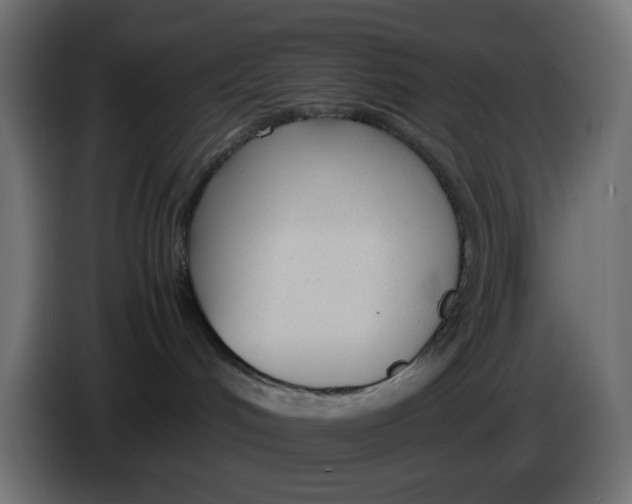 X0000086040048200704131944