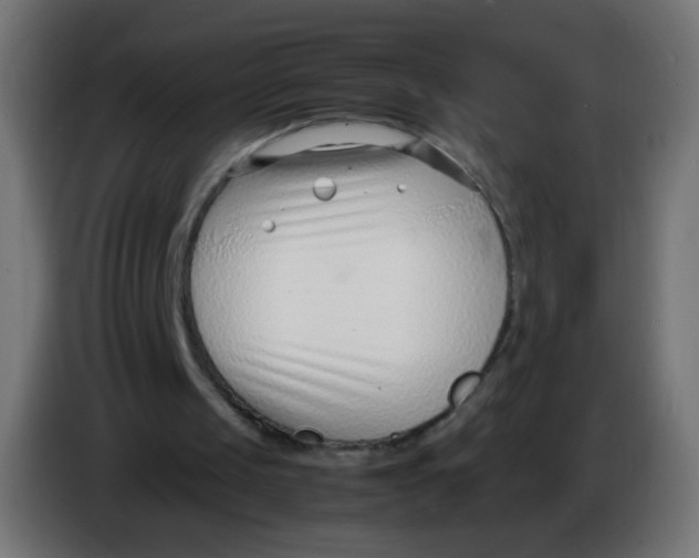X0000086040049200704131943