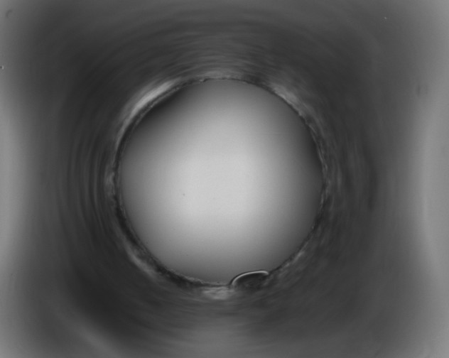 X0000086040050200704131943