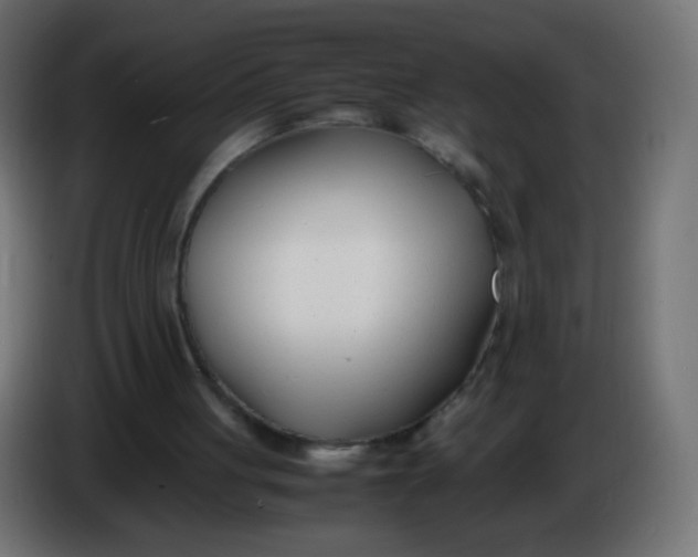 X0000086040051200704131943