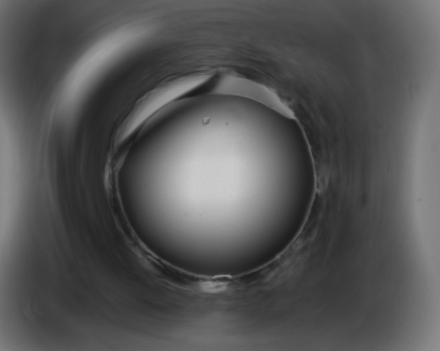 X0000086040052200704131943