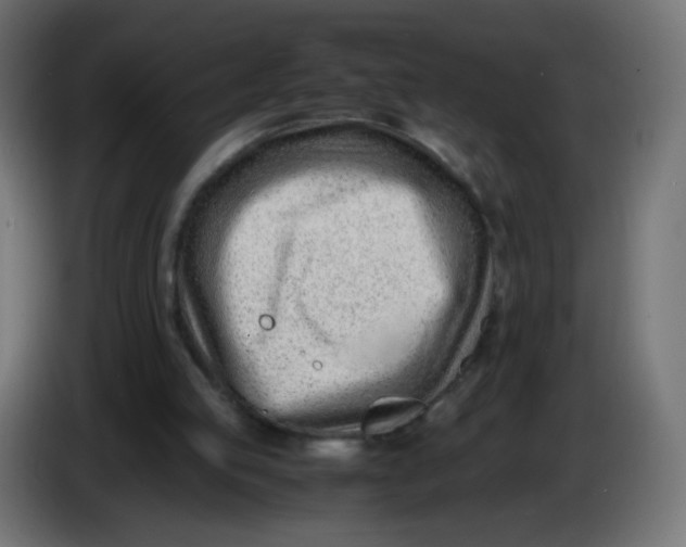 X0000086040053200704131943