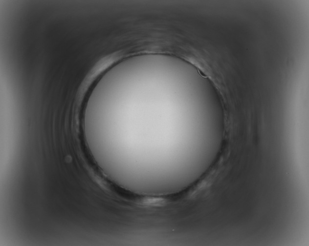 X0000086040055200704131943
