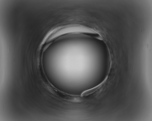 X0000086040056200704131943