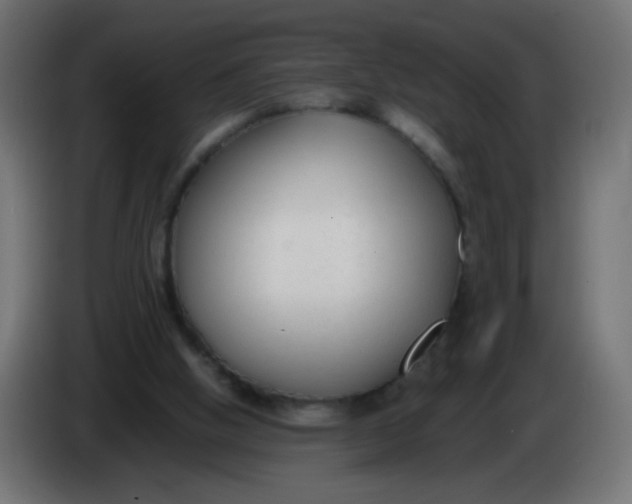 X0000086040058200704131943