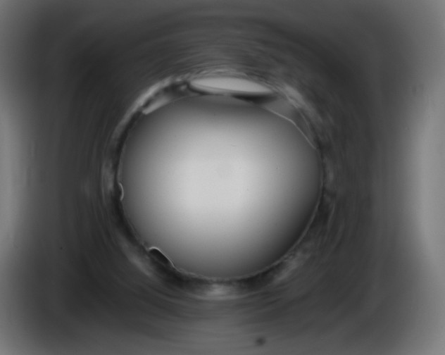 X0000086040060200704131943