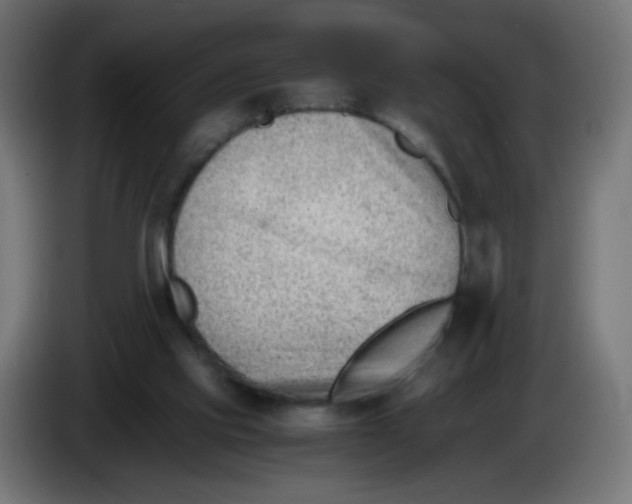 X0000086040061200704131943