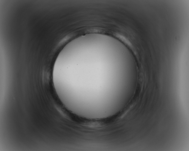 X0000086040063200704131943
