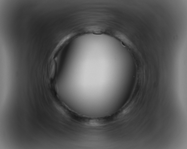 X0000086040064200704131943