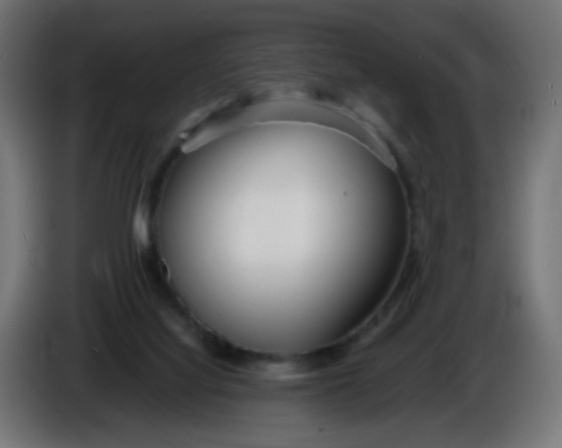 X0000086040068200704131943