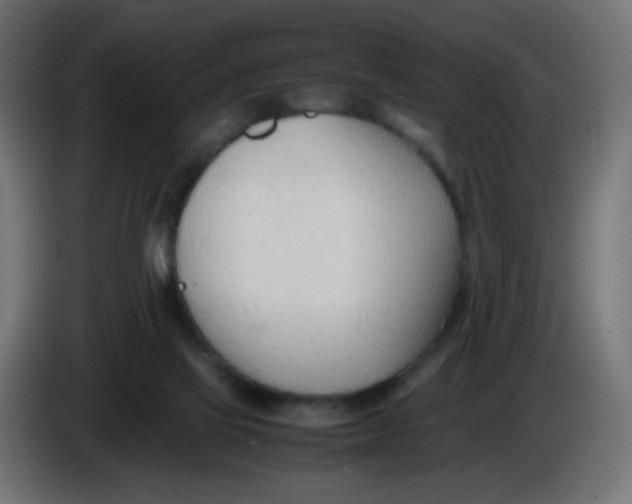 X0000086040069200704131944