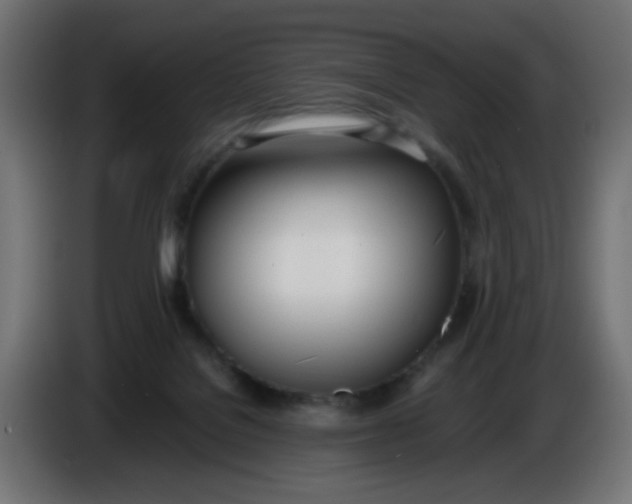 X0000086040076200704131944