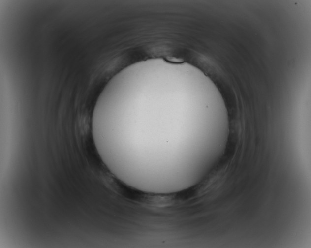 X0000086040081200704131944