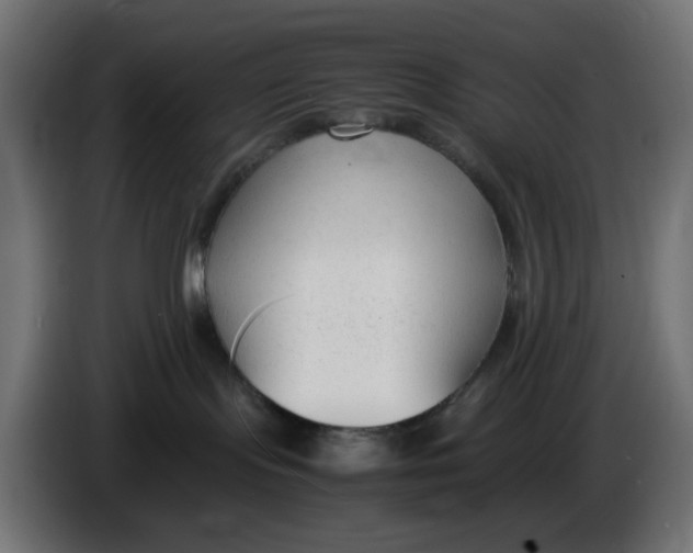 X0000086040095200704131944