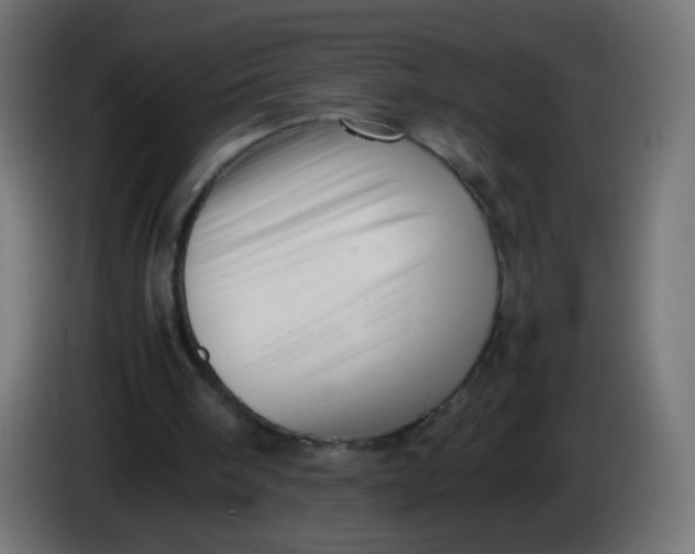 X0000086040098200704131943