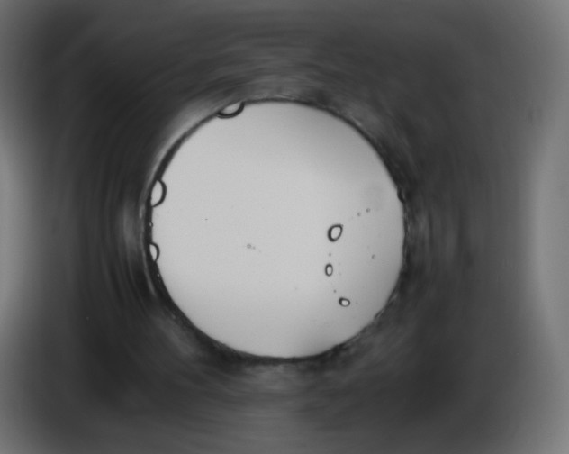 X0000086040100200704131943