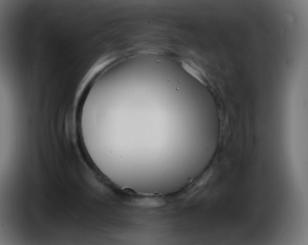 X0000086040102200704131943