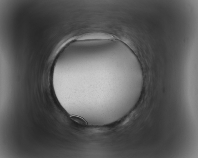 X0000086040103200704131943