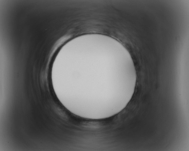 X0000086040104200704131943