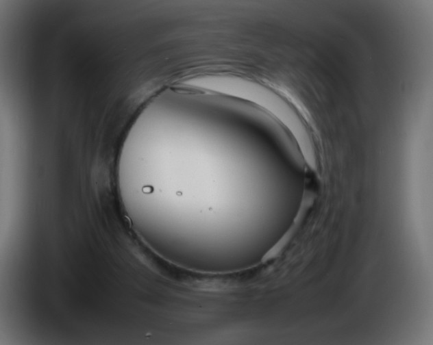 X0000086040105200704131943