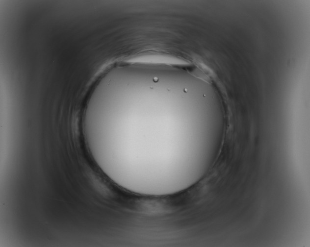 X0000086040106200704131943