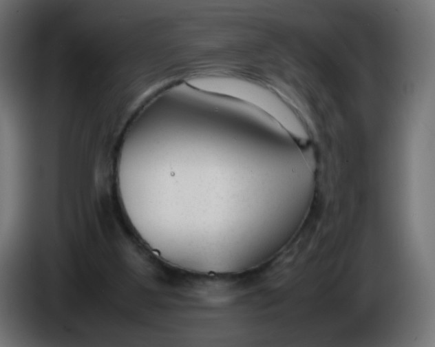X0000086040107200704131943