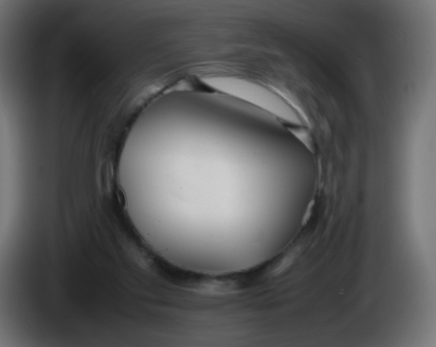 X0000086040109200704131943