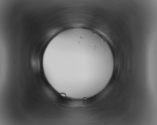 X0000086040110200704131943