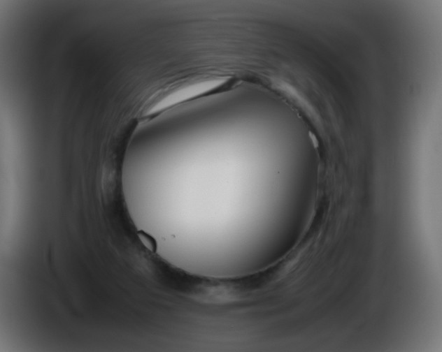 X0000086040113200704131943