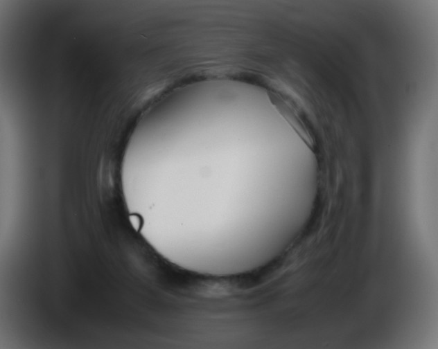 X0000086040115200704131943