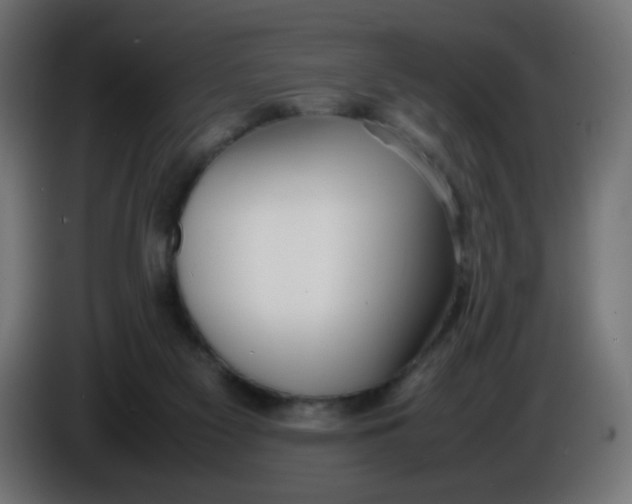 X0000086040117200704131943