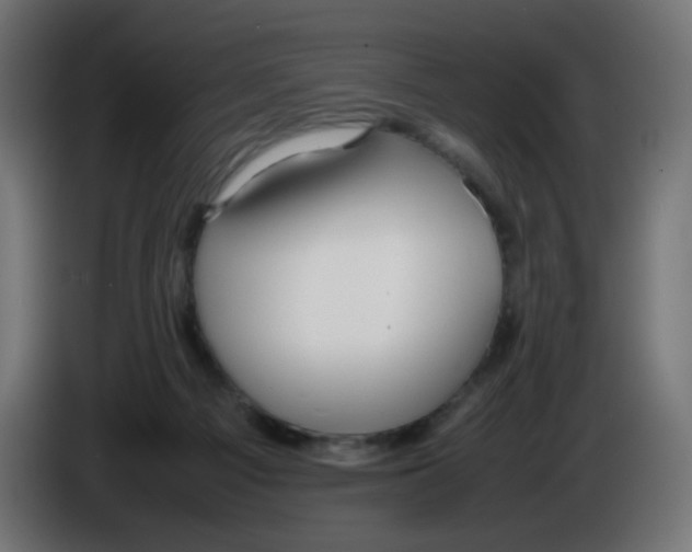 X0000086040121200704131943