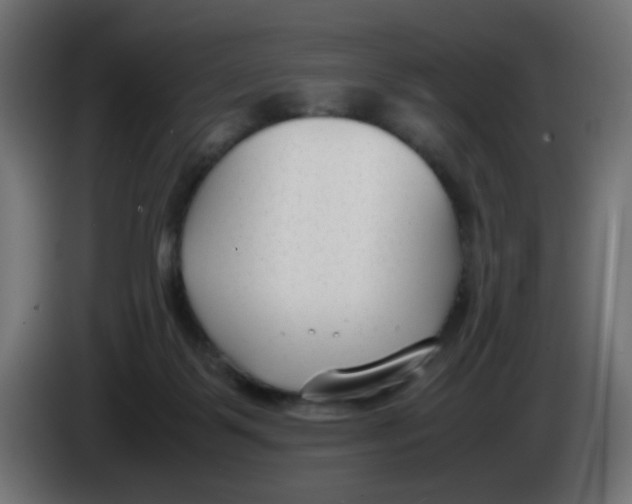 X0000086040123200704131943