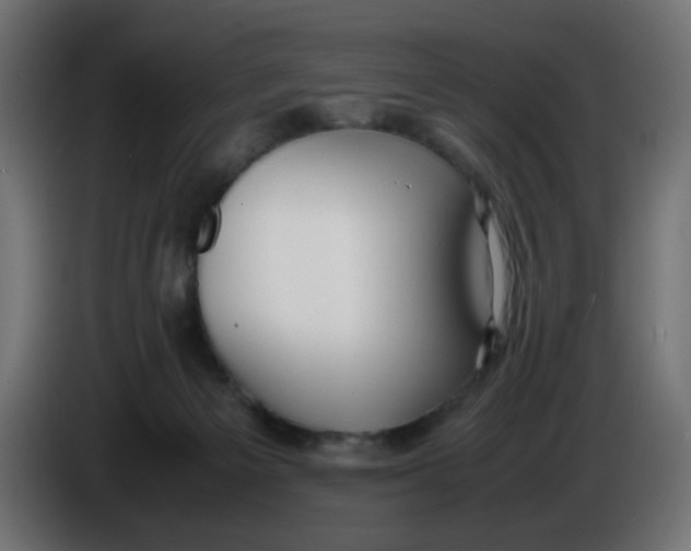X0000086040125200704131943