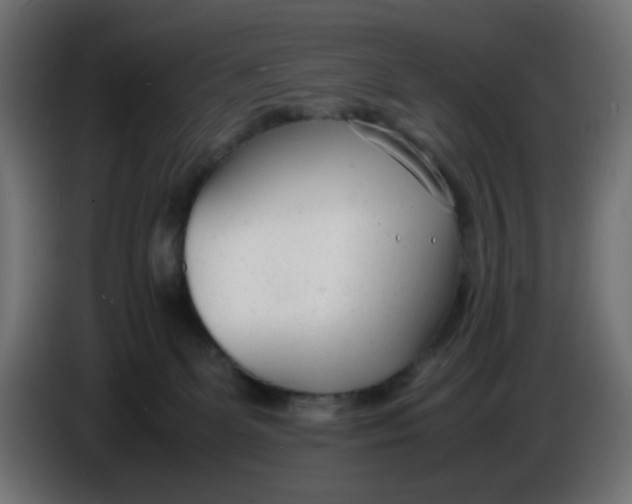 X0000086040131200704131943