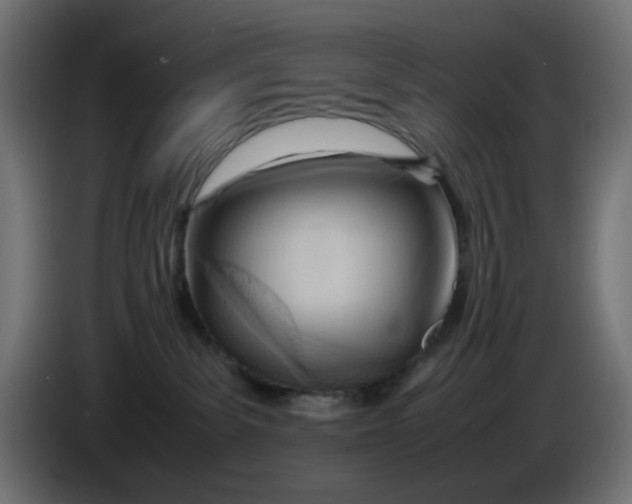X0000086040139200704131943