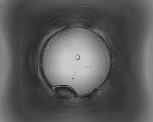 X0000086040145200704131942