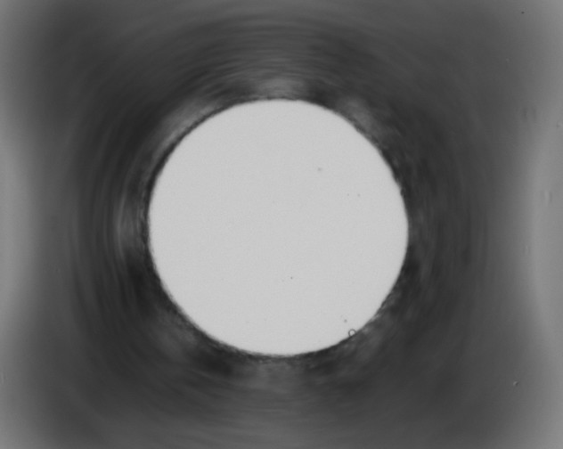 X0000086040146200704131942