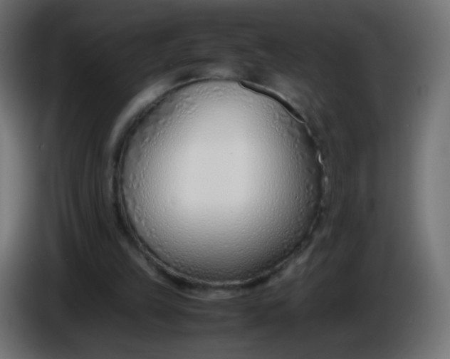 X0000086040149200704131942