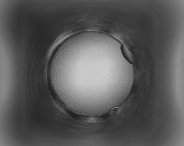 X0000086040151200704131942