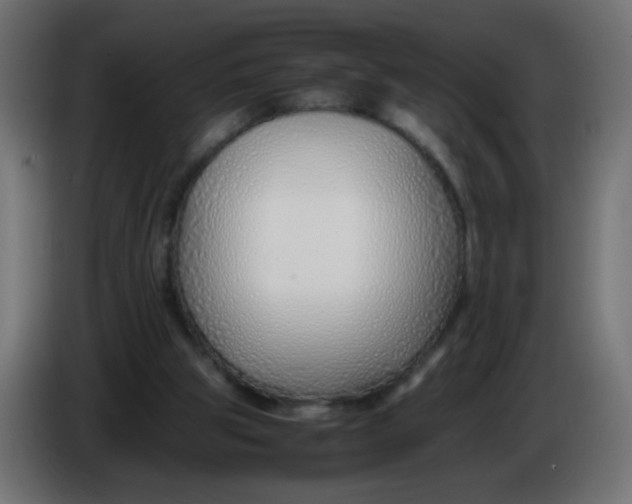 X0000086040153200704131942