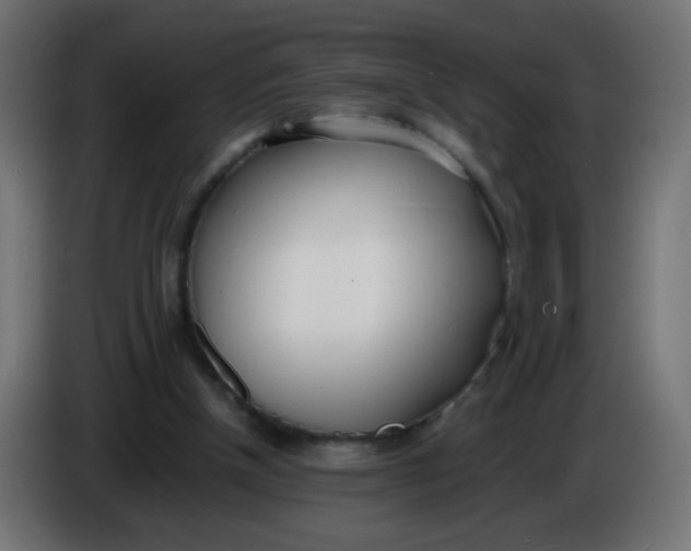 X0000086040154200704131942