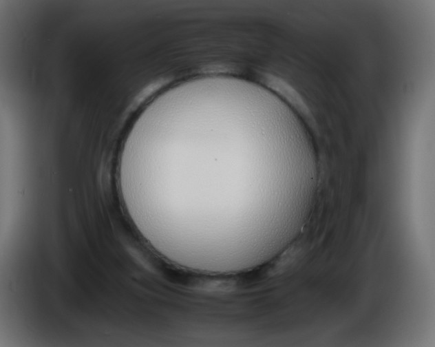 X0000086040155200704131942