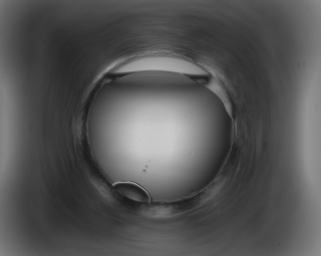 X0000086040156200704131942