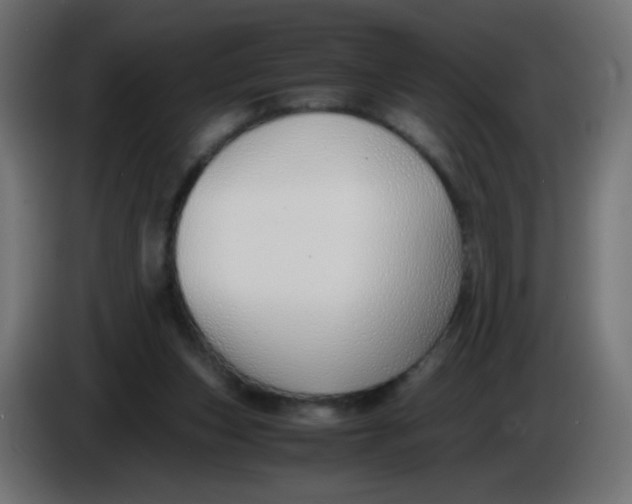 X0000086040159200704131942