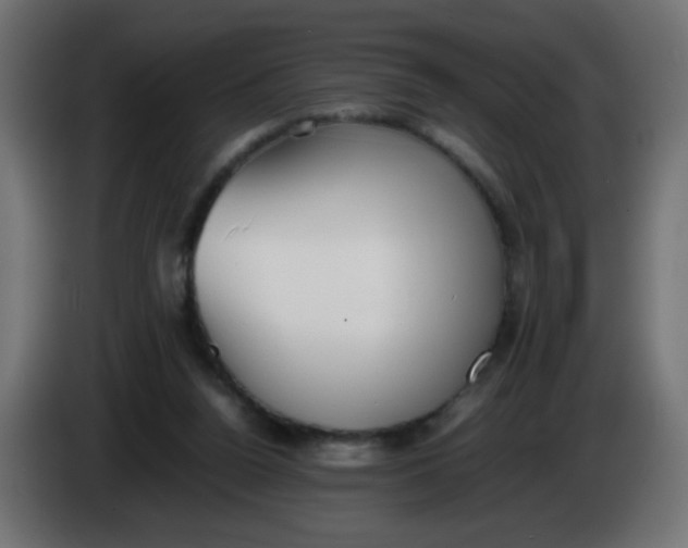 X0000086040160200704131942
