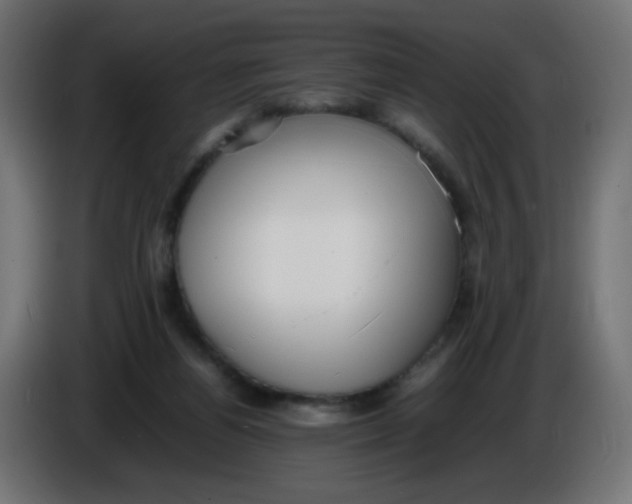 X0000086040164200704131942