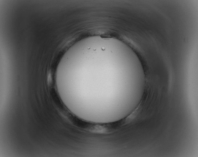 X0000086040166200704131942