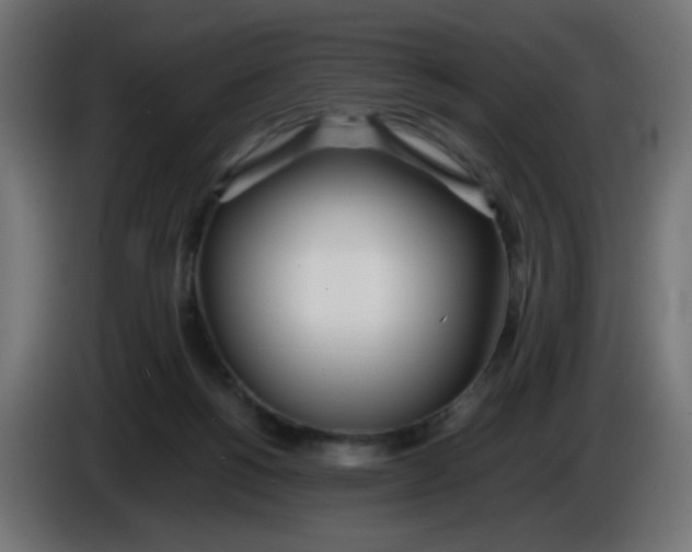 X0000086040168200704131942