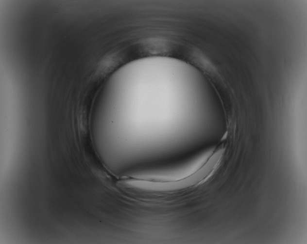 X0000086040170200704131942